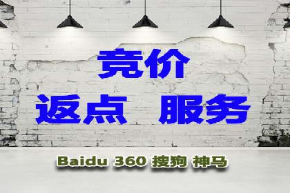 百度竞价广告投放案例解析